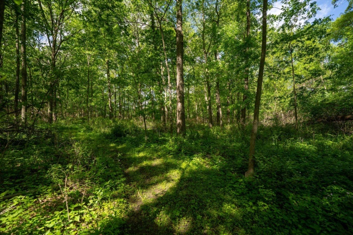 0 Jay, FREEPORT, Illinois 61032, ,Land,For Sale,Jay,202603207