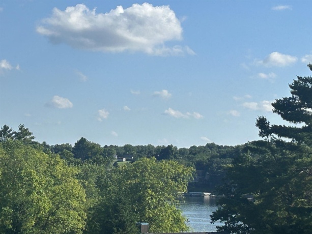 4-168R Beachcomber, LAKE CARROLL, Illinois 61046, ,Land,For Sale,Beachcomber,202603255