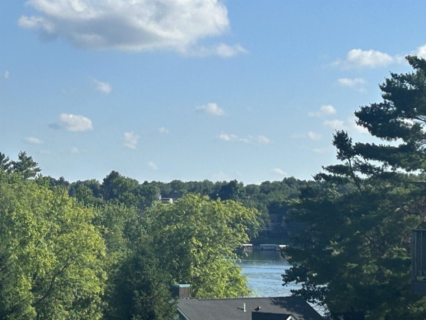 4-168R Beachcomber, LAKE CARROLL, Illinois 61046, ,Land,For Sale,Beachcomber,202603255