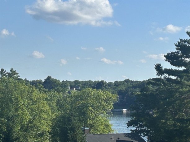 4-168R Beachcomber, LAKE CARROLL, Illinois 61046, ,Land,For Sale,Beachcomber,202603255