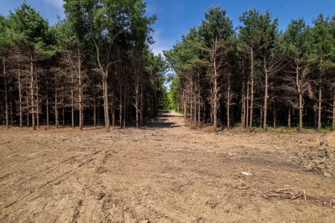 0 Burr Oak, CAPRON, Illinois 61012, ,Land,For Sale,Burr Oak,202603284