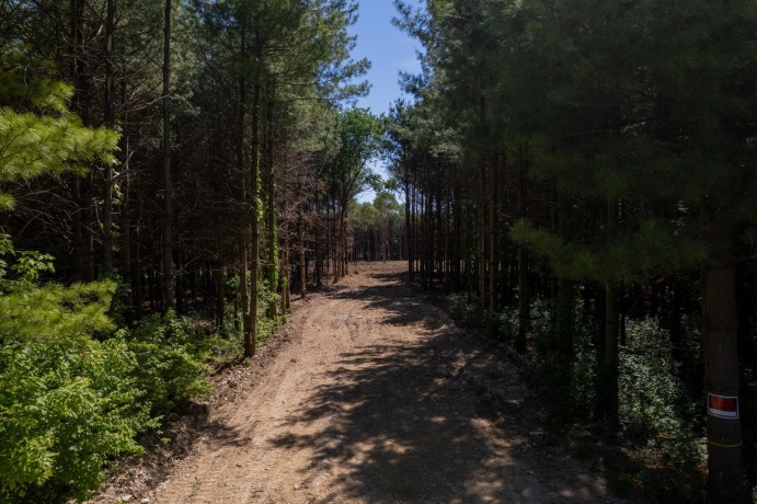 0 Burr Oak, CAPRON, Illinois 61012, ,Land,For Sale,Burr Oak,202603284