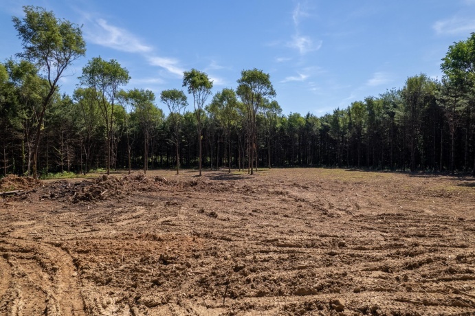 0 Burr Oak, CAPRON, Illinois 61012, ,Land,For Sale,Burr Oak,202603284