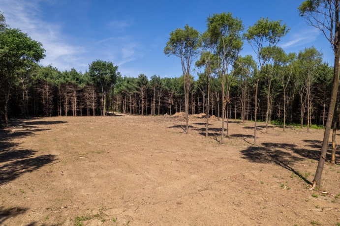 0 Burr Oak, CAPRON, Illinois 61012, ,Land,For Sale,Burr Oak,202603284