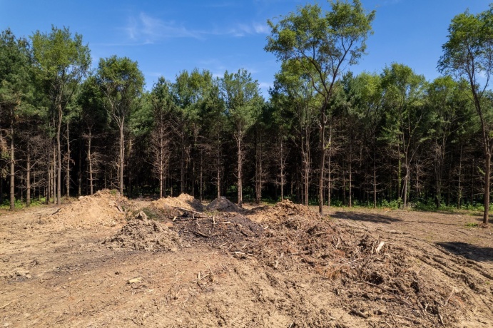 0 Burr Oak, CAPRON, Illinois 61012, ,Land,For Sale,Burr Oak,202603284