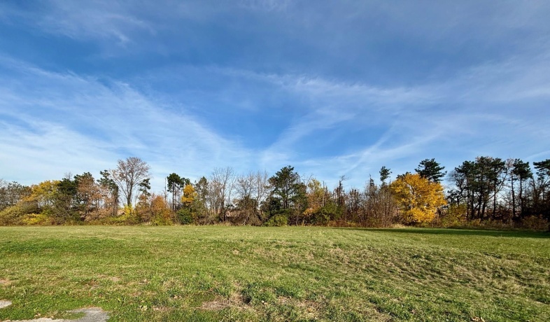 7696 Owl Trl, ROCKFORD, Illinois 61114, ,Land,For Sale,Owl Trl,202603294