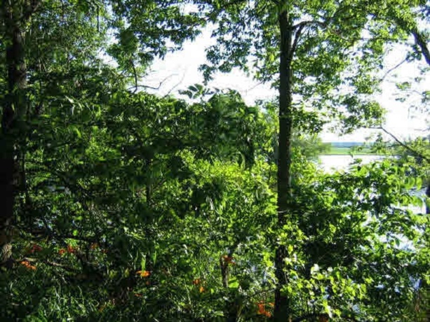 10374 Rock, ROSCOE, Illinois 61073, ,Land,For Sale,Rock,202603306