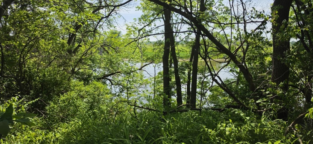 10374 Rock, ROSCOE, Illinois 61073, ,Land,For Sale,Rock,202603306