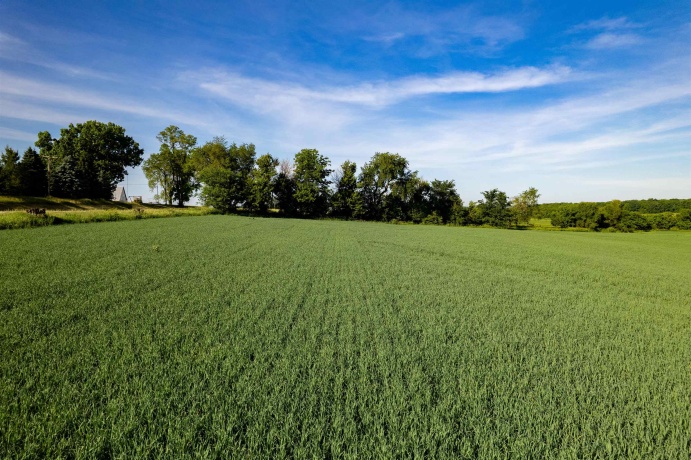 0 Stone Hill, CHANA, Illinois 61015, ,Land,For Sale,Stone Hill,202603317