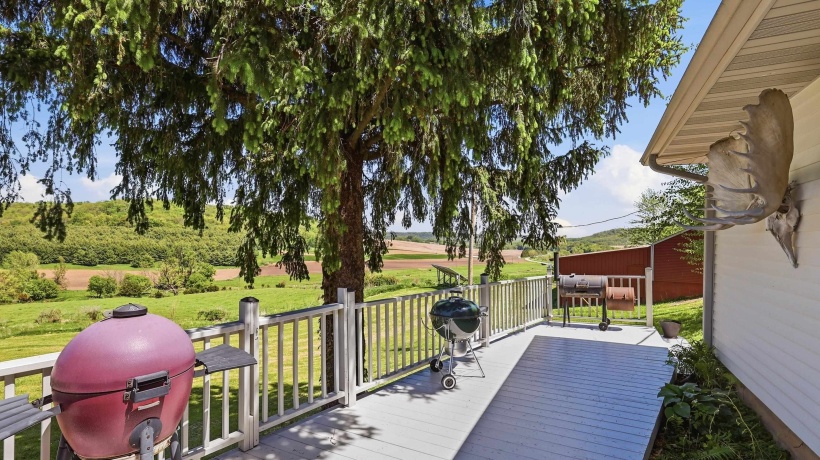 2181 Irish Hollow, GALENA, Illinois 61036, 3 Bedrooms Bedrooms, ,1 BathroomBathrooms,House,For Sale,Irish Hollow,202603323