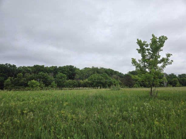 9A102 Locust, APPLE RIVER, Illinois 61001, ,Land,For Sale,Locust,202603434