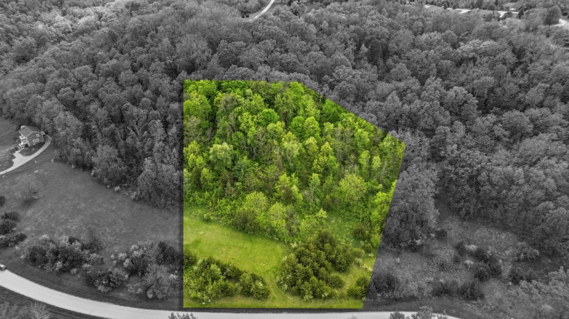 55 Heatherdowns, GALENA, Illinois 61036, ,Land,For Sale,Heatherdowns,202603451