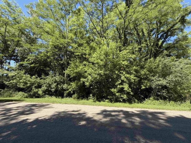 900 Timber Trail, DIXON, Illinois 61021, ,Land,For Sale,Timber Trail,202603471