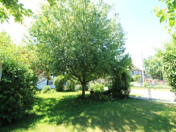 712 Hurlbut, BELVIDERE, Illinois 61008, 2 Bedrooms Bedrooms, ,1 BathroomBathrooms,House,For Sale,Hurlbut,202603487