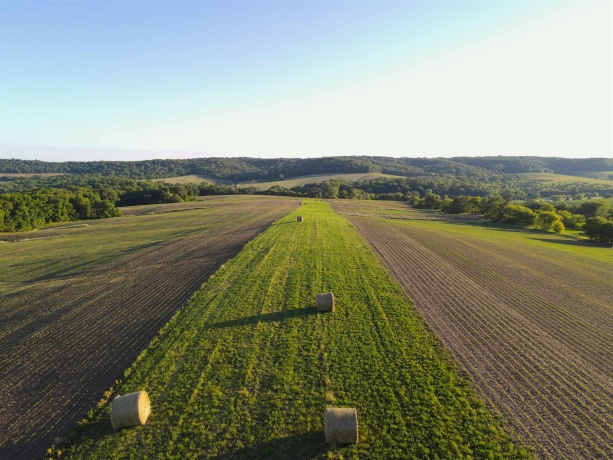 3340 Longhollow, ELIZABETH, Illinois 61028, ,Land,For Sale,Longhollow,202603503