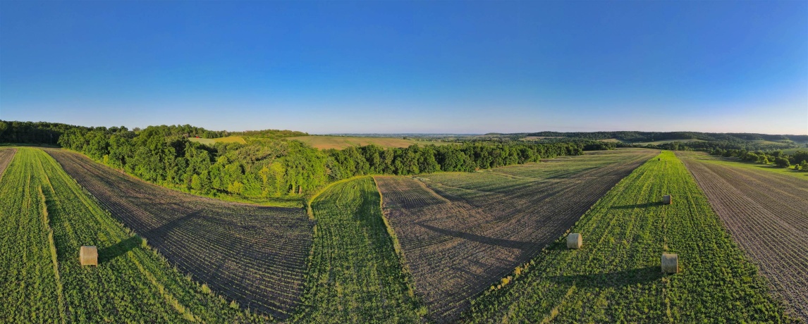 3340 Longhollow, ELIZABETH, Illinois 61028, ,Land,For Sale,Longhollow,202603503