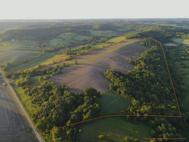 3340 Longhollow, ELIZABETH, Illinois 61028, ,Land,For Sale,Longhollow,202603503
