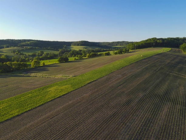 3340 Longhollow, ELIZABETH, Illinois 61028, ,Land,For Sale,Longhollow,202603503