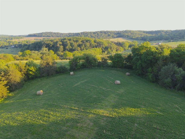 3340 Longhollow, ELIZABETH, Illinois 61028, ,Land,For Sale,Longhollow,202603503