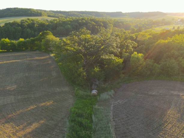 3340 Longhollow, ELIZABETH, Illinois 61028, ,Land,For Sale,Longhollow,202603503
