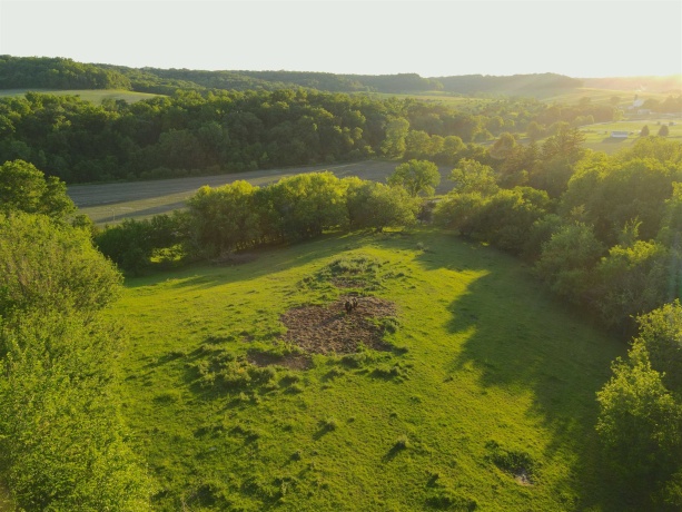 3340 Longhollow, ELIZABETH, Illinois 61028, ,Land,For Sale,Longhollow,202603503