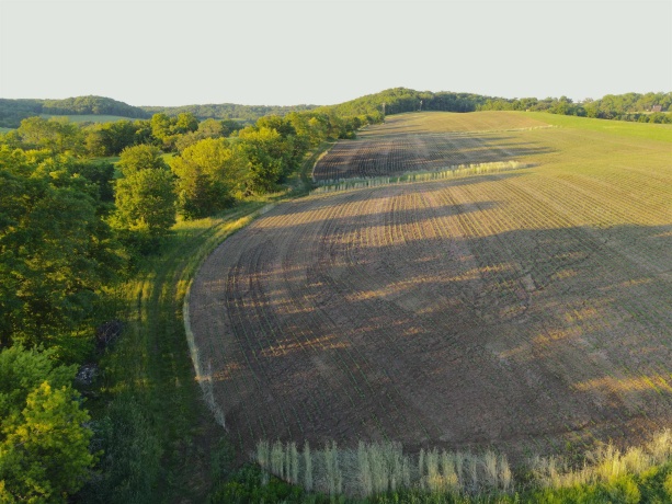 3340 Longhollow, ELIZABETH, Illinois 61028, ,Land,For Sale,Longhollow,202603503