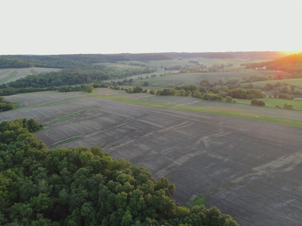 3340 Longhollow, ELIZABETH, Illinois 61028, ,Land,For Sale,Longhollow,202603503