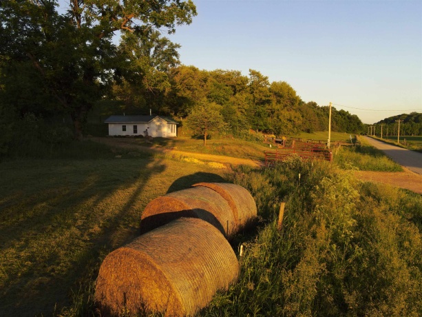 3340 Longhollow, ELIZABETH, Illinois 61028, ,Land,For Sale,Longhollow,202603503