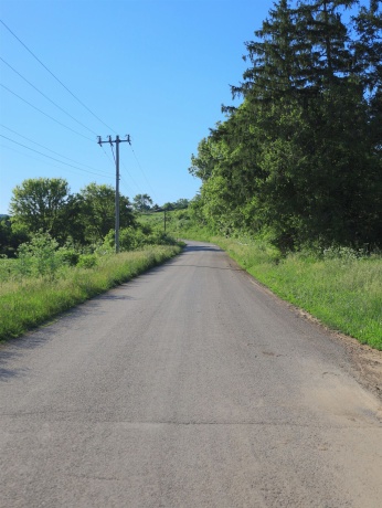 3340 Longhollow, ELIZABETH, Illinois 61028, ,Land,For Sale,Longhollow,202603503