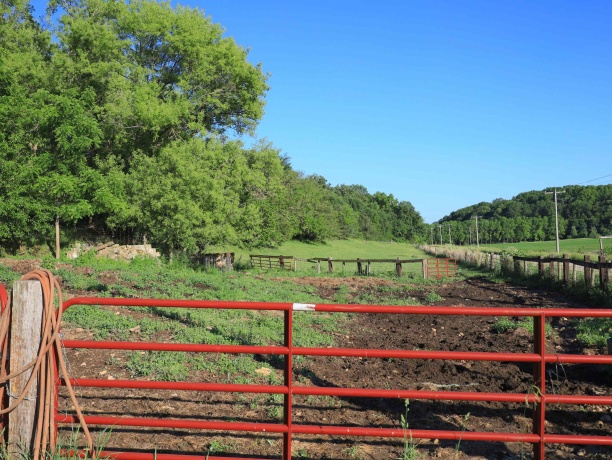 3340 Longhollow, ELIZABETH, Illinois 61028, ,Land,For Sale,Longhollow,202603503