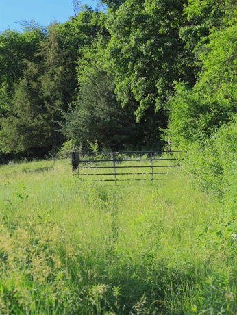 3340 Longhollow, ELIZABETH, Illinois 61028, ,Land,For Sale,Longhollow,202603503