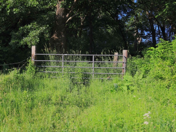 3340 Longhollow, ELIZABETH, Illinois 61028, ,Land,For Sale,Longhollow,202603503