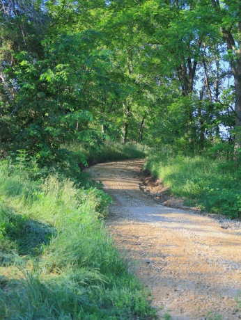 3340 Longhollow, ELIZABETH, Illinois 61028, ,Land,For Sale,Longhollow,202603503