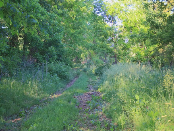 3340 Longhollow, ELIZABETH, Illinois 61028, ,Land,For Sale,Longhollow,202603503