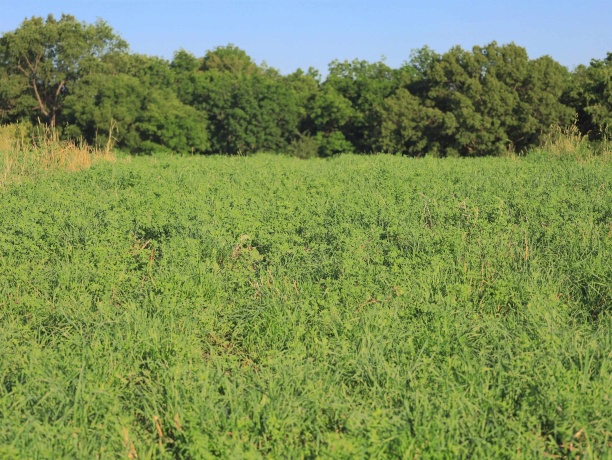 3340 Longhollow, ELIZABETH, Illinois 61028, ,Land,For Sale,Longhollow,202603503