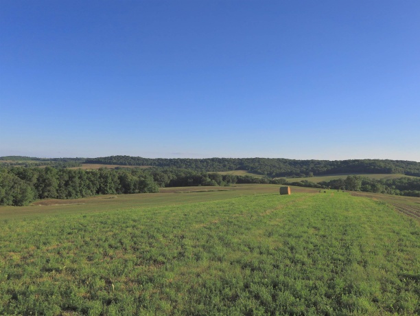 3340 Longhollow, ELIZABETH, Illinois 61028, ,Land,For Sale,Longhollow,202603503