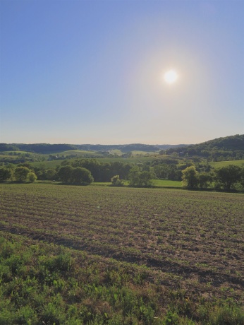 3340 Longhollow, ELIZABETH, Illinois 61028, ,Land,For Sale,Longhollow,202603503