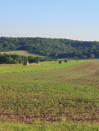 3340 Longhollow, ELIZABETH, Illinois 61028, ,Land,For Sale,Longhollow,202603503
