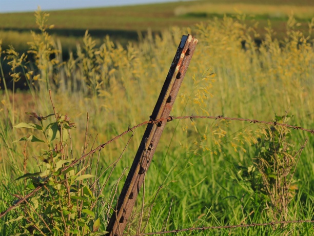 3340 Longhollow, ELIZABETH, Illinois 61028, ,Land,For Sale,Longhollow,202603503