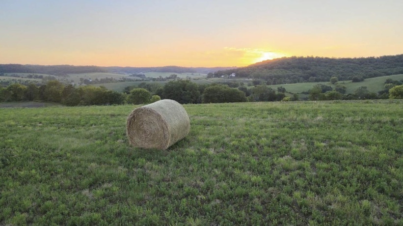 3340 Longhollow, ELIZABETH, Illinois 61028, ,Land,For Sale,Longhollow,202603503