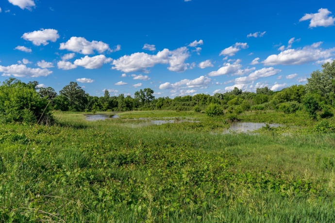 8321 Blomberg, CHERRY VALLEY, Illinois 61016, 3 Bedrooms Bedrooms, ,2 BathroomsBathrooms,House,For Sale,Blomberg,202603559