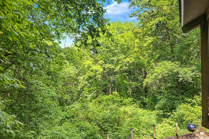 3 Lost Ridge, GALENA, Illinois 61036, 2 Bedrooms Bedrooms, ,2 BathroomsBathrooms,House,For Sale,Lost Ridge,202603563
