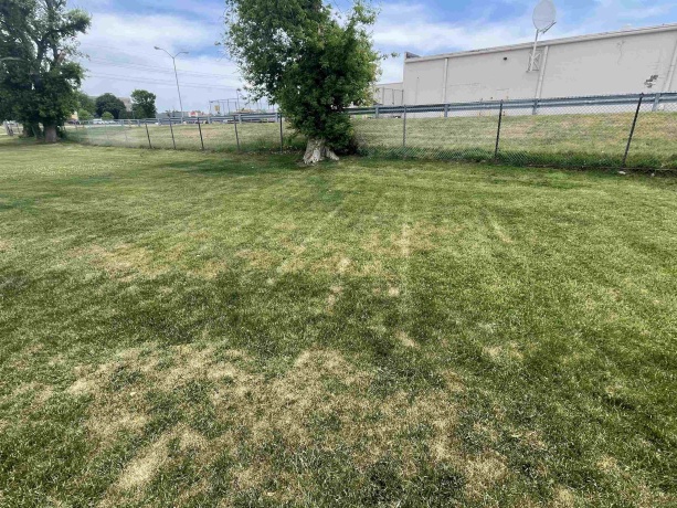 207 Fox, BELVIDERE, Illinois 61008, 3 Bedrooms Bedrooms, ,2 BathroomsBathrooms,House,For Sale,Fox,202603164