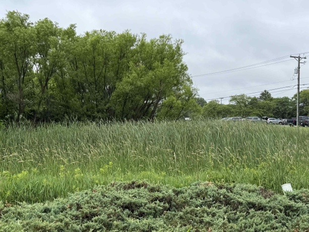 1658 Bell School, ROCKFORD, Illinois 61107, ,Land,For Sale,Bell School,202603634