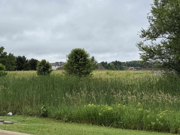 1658 Bell School, ROCKFORD, Illinois 61107, ,Land,For Sale,Bell School,202603634