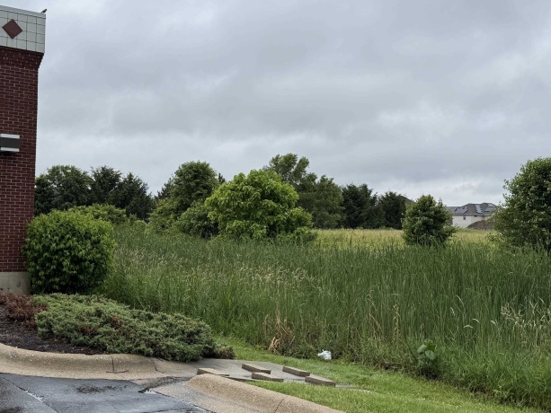 1658 Bell School, ROCKFORD, Illinois 61107, ,Land,For Sale,Bell School,202603634