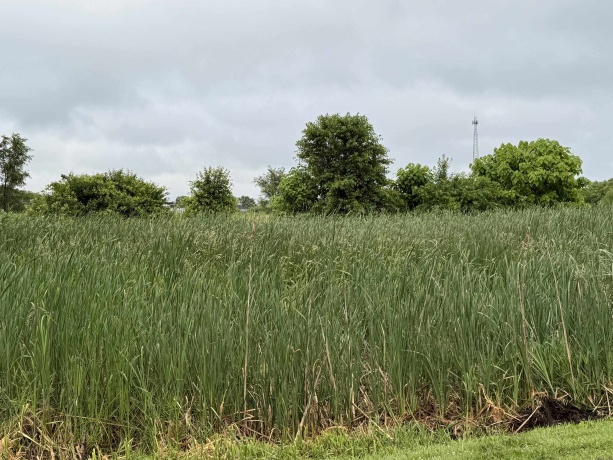 1658 Bell School, ROCKFORD, Illinois 61107, ,Land,For Sale,Bell School,202603634