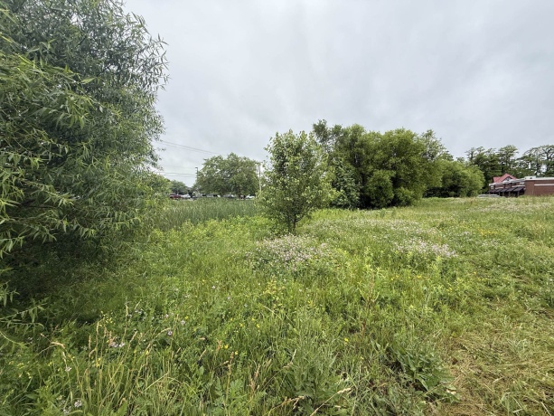 1658 Bell School, ROCKFORD, Illinois 61107, ,Land,For Sale,Bell School,202603634