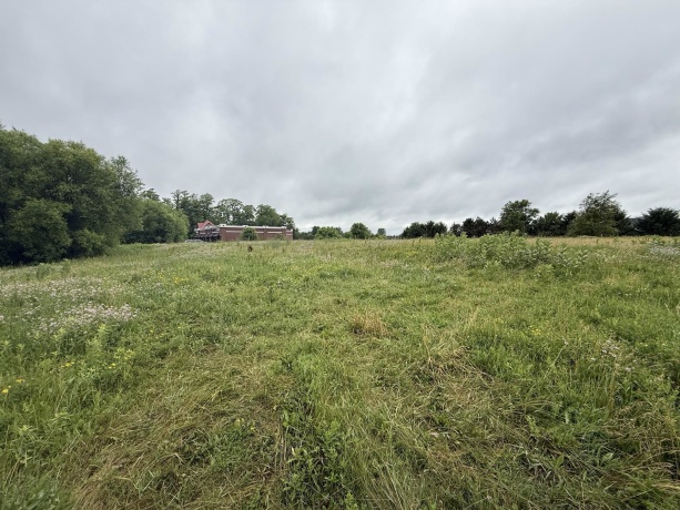 1658 Bell School, ROCKFORD, Illinois 61107, ,Land,For Sale,Bell School,202603634