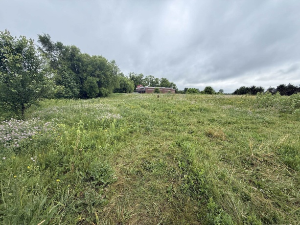 1658 Bell School, ROCKFORD, Illinois 61107, ,Land,For Sale,Bell School,202603634